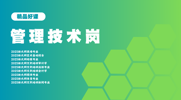 技术管理岗